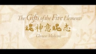 Famous The Gifts of the Five Elements Net Worth