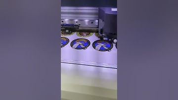 Roland TrueVis Vg2 sticker Print laminated glossy and cut