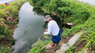 Roadside Small Creek Fishing? (Surprise Catch!)