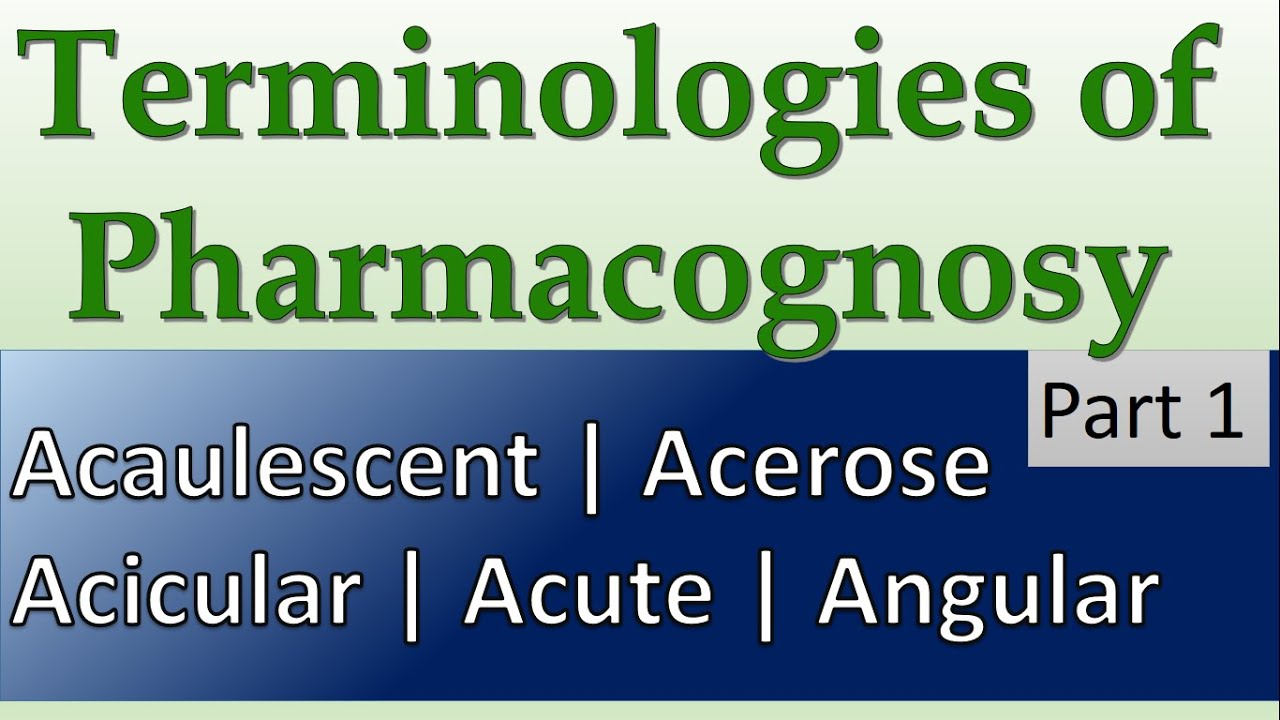 Acaulescent Raleigh Acaulescent | Acerose | Acicular | Acute | Angular || Terminology in ...