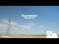 【VCDR-0031】Virtual Cat / Kazenone