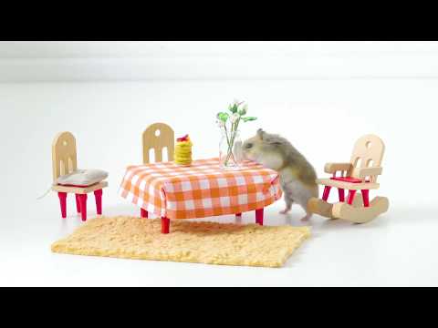 vous-ne-croirez-jamais-ce-que-ce-hamster-a-dans-les-pattes.-mais-il-a-l'air-d'aimer-ça.