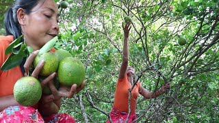 Green oranges for food   Green oranges for eating delicious #10