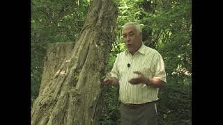 Goşgy Talyplyk Ýyllarym Toýly Öwezow