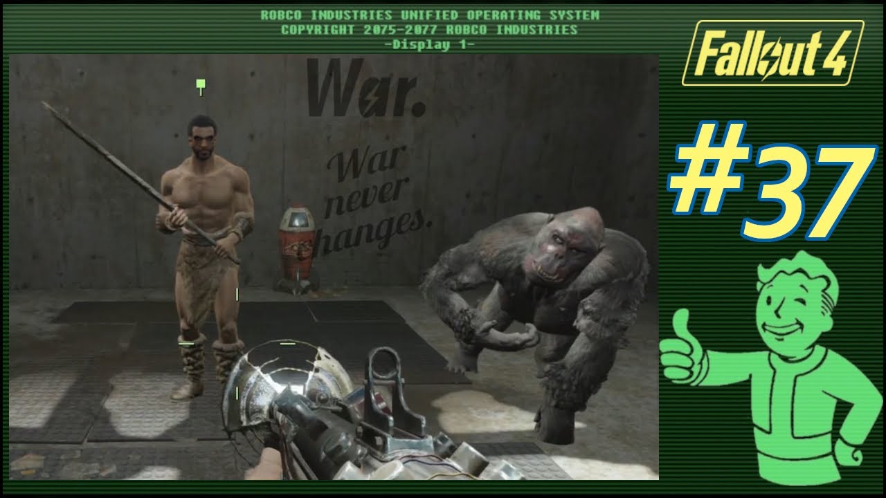 Pomoc Cito 🦧 | Fallout 4 [#37] - YouTube