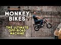 Monkey bikes   the ultimate adventure machine