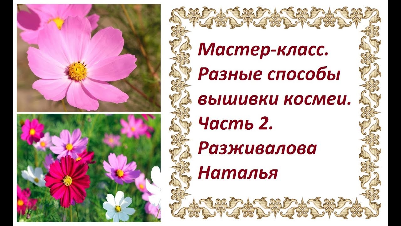 ⁣МК. Разные способы вышивки космеи. Часть 2. Пушистая серединка. Ленточные стежки.