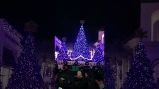 Symphony and lights Christmas tree gathering at Wiregrass Mall 
