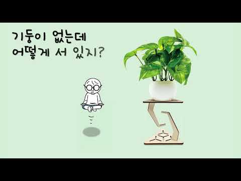 안다과학 2호3단계3주 호기심 갖기