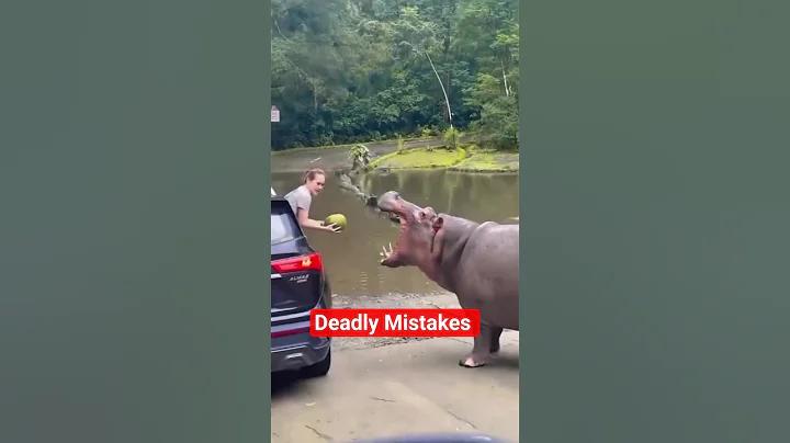 5 Deadly Mistakes You Should NEVER Make with Animals! #shorts