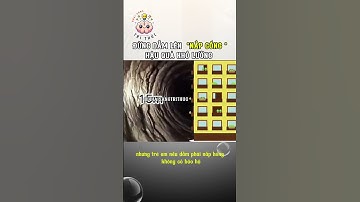 Đừng Bao Giờ Dẫm Lên Nắp Cống