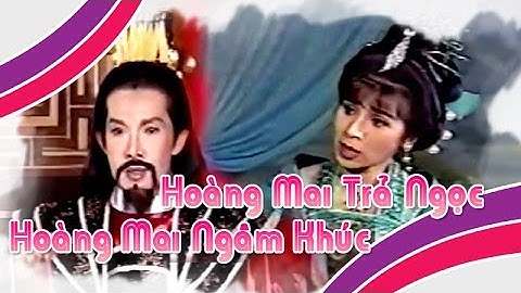 Điệu hồ quảng | HOÀNG MAI TRẢ NGỌC và NGÂM KHÚC (Vũ Linh, Phượng Mai) ĐHQ | Cải Lương Tôi Yêu