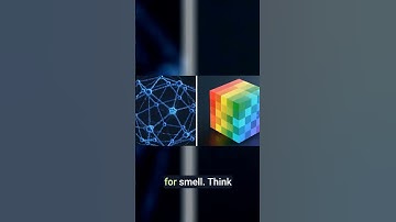 Google AI Predicts Smell From Molecules: The Odor Map!