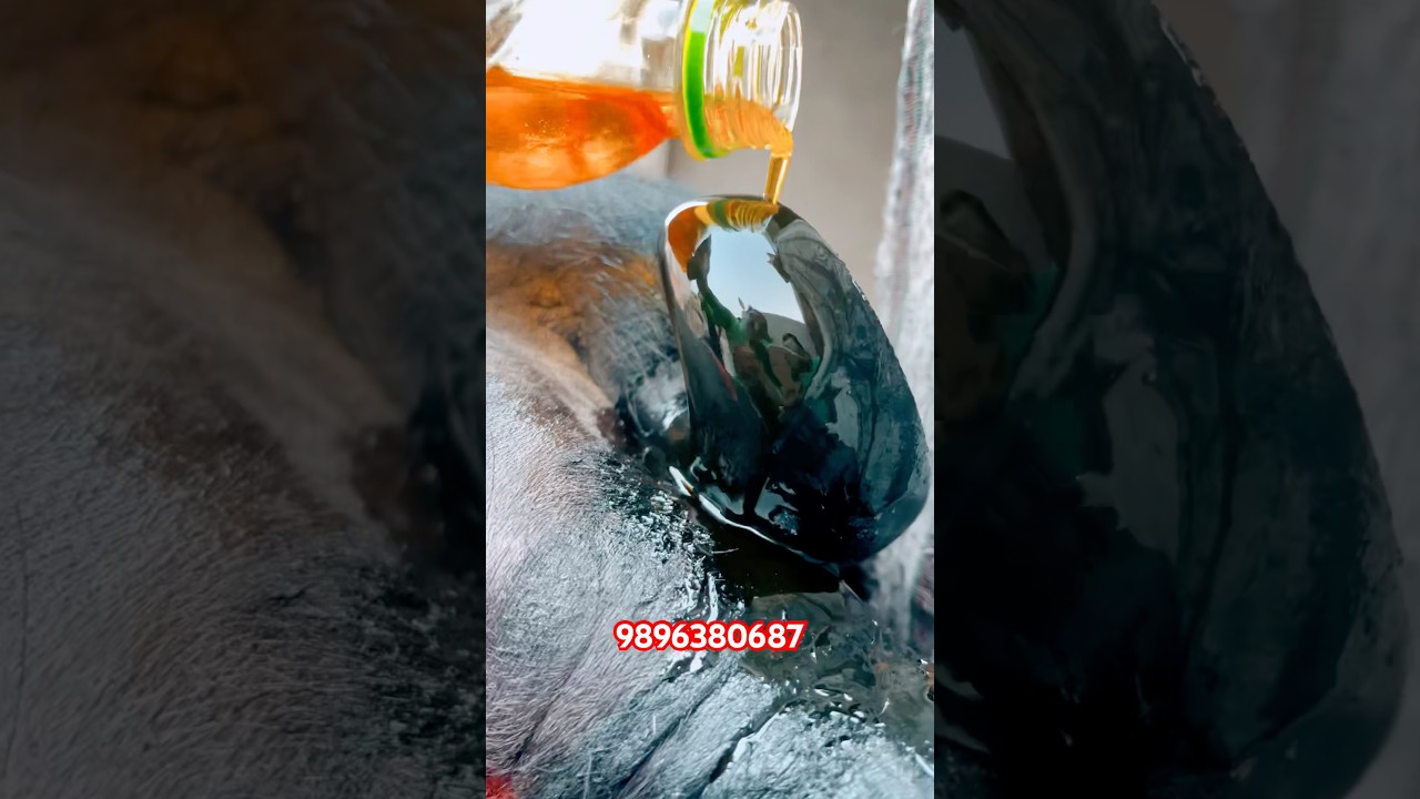 Raat Ke Shikari (Official Video) Masoom Sharma | New Haryanvi Song 2025 | Sonotek Music 