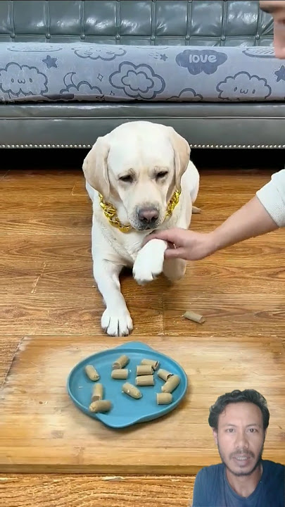 Dogy Umpetin Sosid Dimulut #shorts #funny #comedy