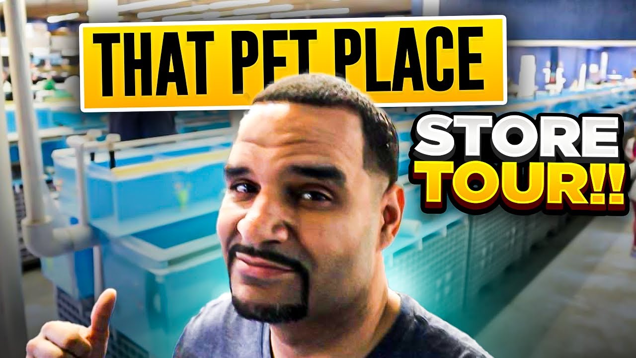 Huge Pet Store Tour with Stingray Touch Tank! (That Pet Place) YouTube