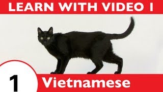 ⁣Learn Vietnamese with Video - Common Animals