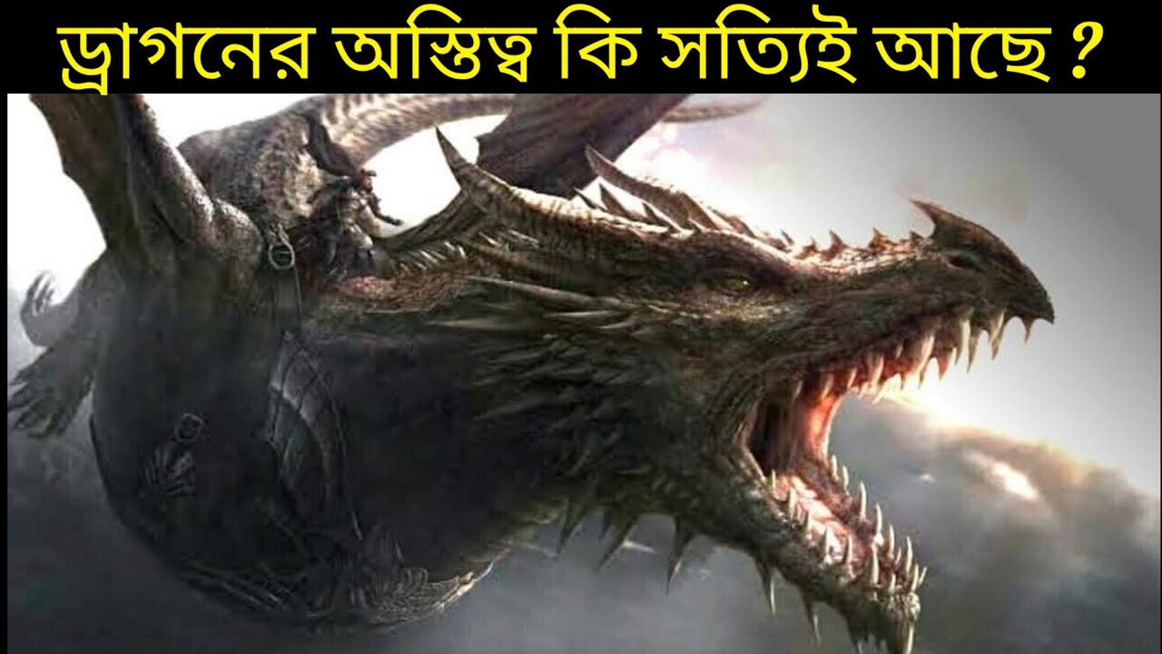 ড্রাগন এর অস্তিত্ব কি সত্যিই রয়েছে ? দেখুন বৈজ্ঞানিক প্রমাণ সহ Does