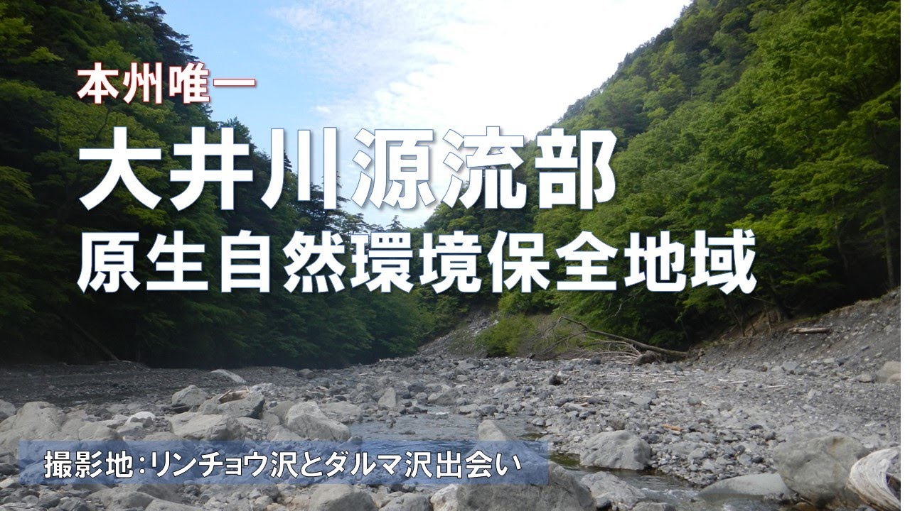 本州唯一!大井川源流部原生自然環境保全地域 後編南アルプスYoutubeカレッジ 19時限目 YouTube