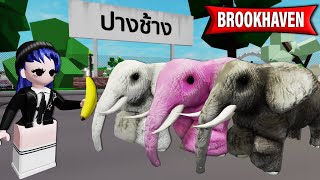 สร้างปางช้างใน Brookhaven! (มีช้างเป็นโขลง) | Roblox  Elephant Brookhaven