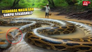 Tak Sengaja Lewati Ular Raksasa Titanoboa Saat Melintas Dipedalaman Hutan!! Orang Ini Santai Saja...