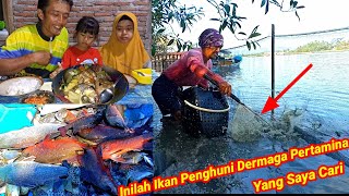 Download Lagu Pasang Perangkap Diarea Dermaga Pertamina Panen Ikan Kakap Besar Langsung Masak Sup Kakap Merah MP3 Download Lagu Pasang Perangkap Diarea Dermaga Pertamina Panen Ikan Kakap Besar Langsung Masak Sup Kakap Merah MP3