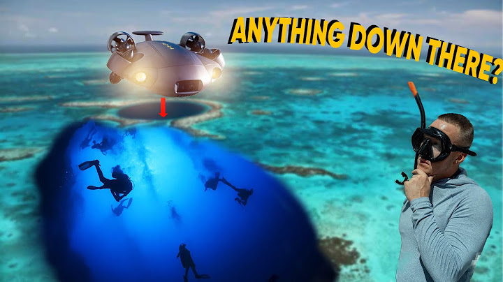 What's At The Bottom Of Belize's Blue Hole? Drone Vs. Sharks!