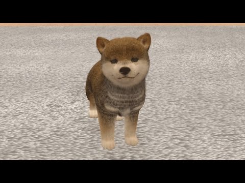Taking Care of My Virtual Dog 🐾 | Playing, Feeding & Walking | Dog Simulator Game