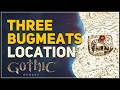 Three Bugmeats Location Gothic 1 Remake