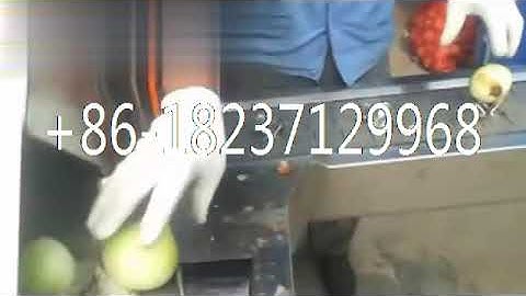 automatic industrial spring onion peeling root stem cutter machine garlic onion peeler dicer machine