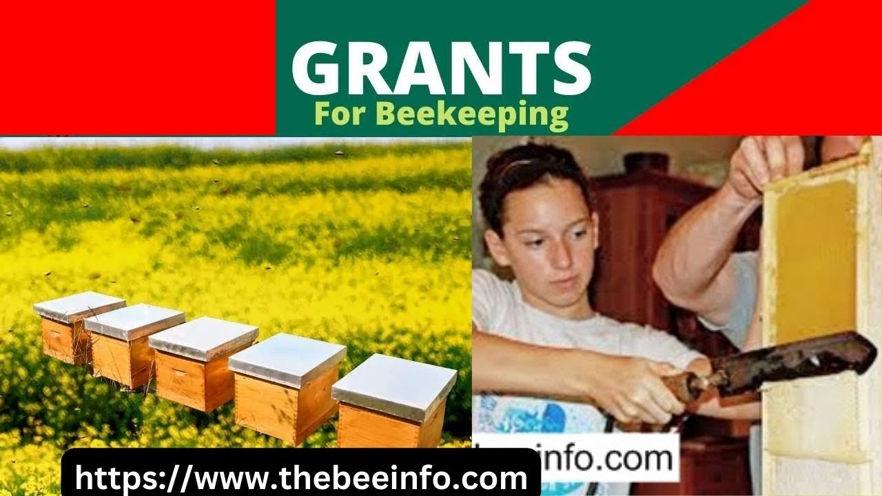 Grants For Beekeeping USDA Grants Agricultural Grants And Honey Bee