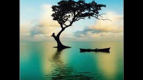 سعد الغامدي سوره النساء   СУРА  #  4