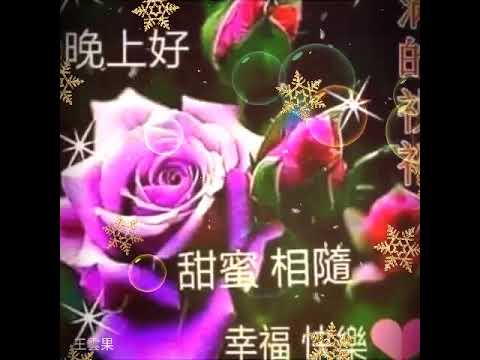 晚上好 Youtube 晚上好 Youtube