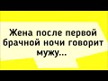 Сборник Веселых Анекдотов для Настроения! Смех, Юмор, Позитив!