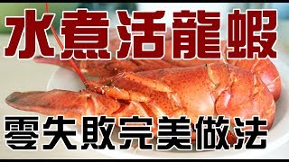 【通少食譜】零失敗水煮活龍蝦（how to boil lobster) 