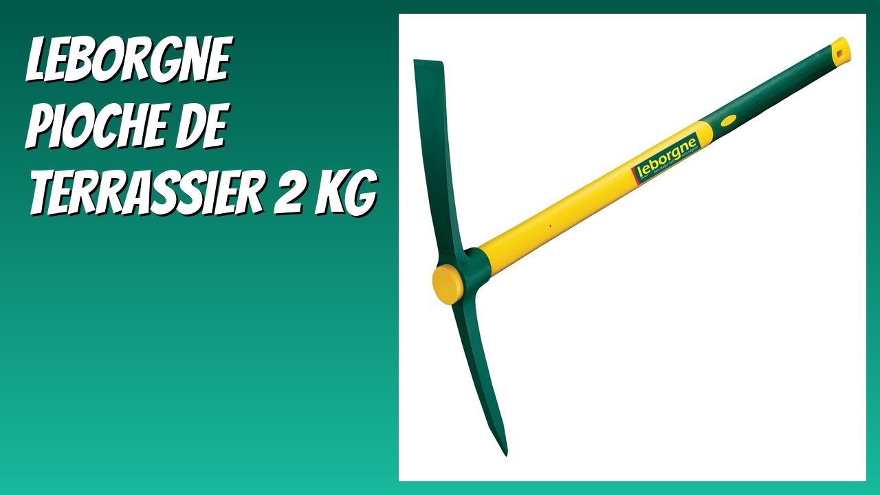 Pioche Terrassier Leborgne 050200 Douille Ronde 2 Kg Sans Manche - Outil De Qualité Professionnelle