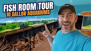 NEW Fish for the 10 Gallons in the Fish Room [All Aquariums Update]