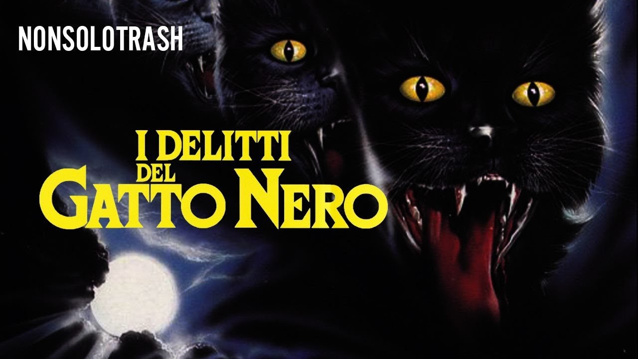 I delitti del gatto nero recensione YouTube I delitti del gatto nero recensione YouTube
