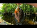 "Big Summer Bluegills Bream fishing"