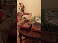 ذكر تومبرادو ماشاء الله روعه التغريد