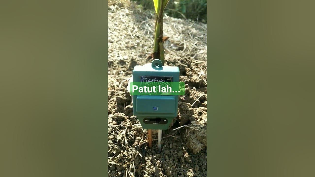 Patutlah tak berapa mau youtube