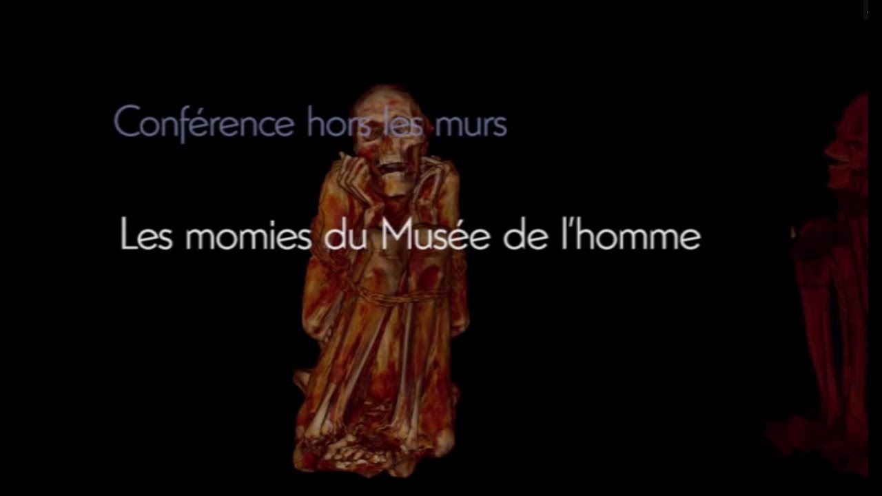 Les momies du Musée de l'Homme