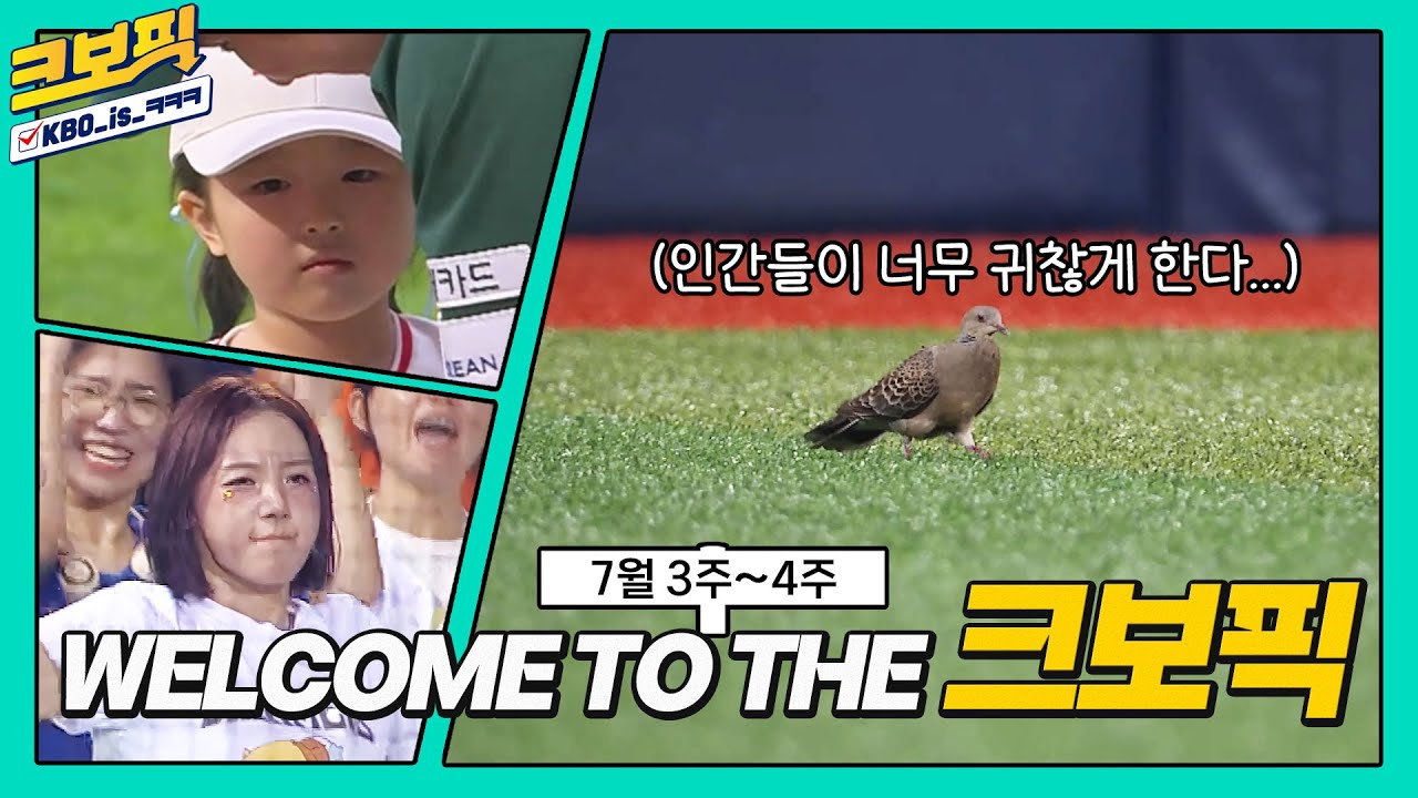 둘기도 소문 듣고 찾아온 볼거리 맛집 크보픽🕊️｜7월 3주~ 7월 4주｜크보픽｜8화｜놓치면 아쉬운 KBO 꿀잼 모음집