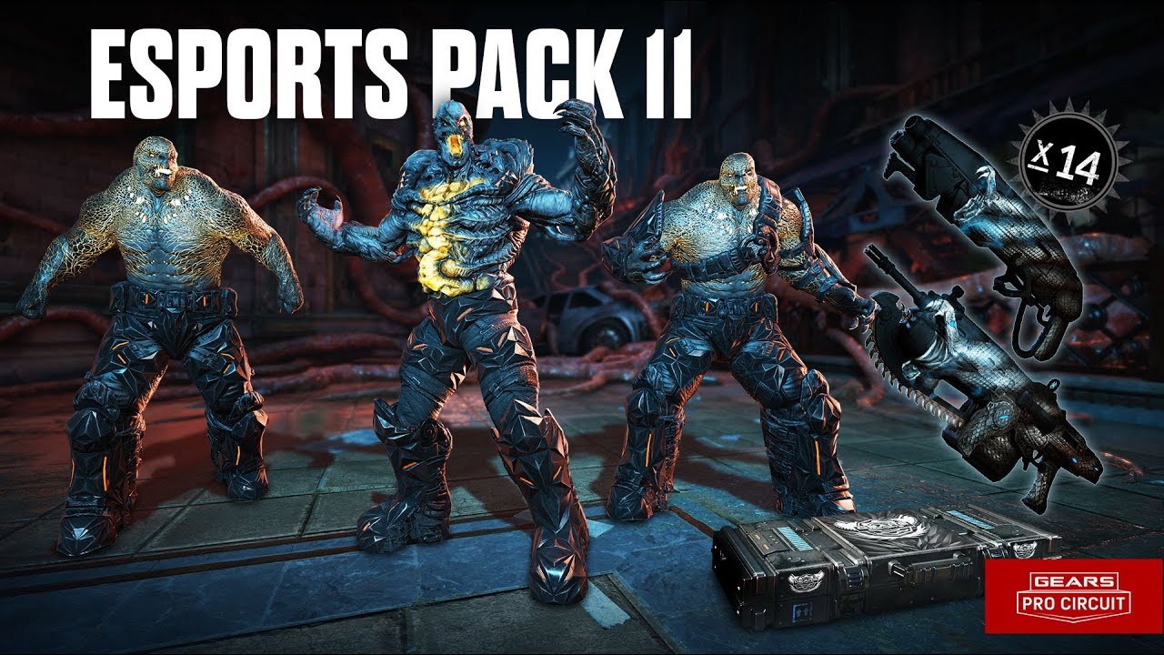 20x Gears of War 4 eSports Supporter Pack 11 Opening Black Steel