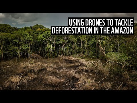Using drones to tackle deforestation | WWF