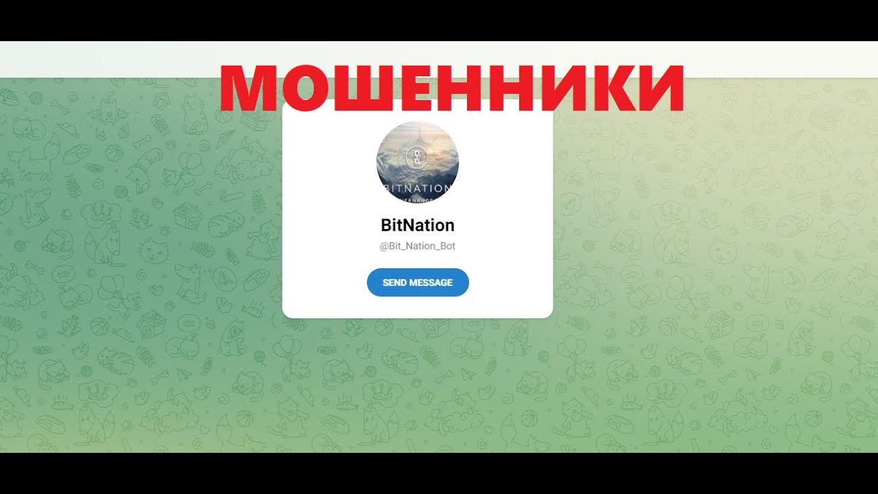 Татьяна всегда рядом (Татьяна Лю) и BitNation обзор ЛОХОТРОНА!