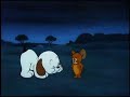 ᴴᴰ Tom And Jerry Episode 80 Puppy Tale 1953 P1 3 TAJC Duge Mite ᴴᴰ Tom And Jerry Episode 80 Puppy Tale 1953 P1 3 TAJC Duge Mite