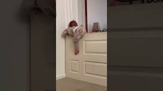 Climbing out - 20 months old (2.17M+ Views)