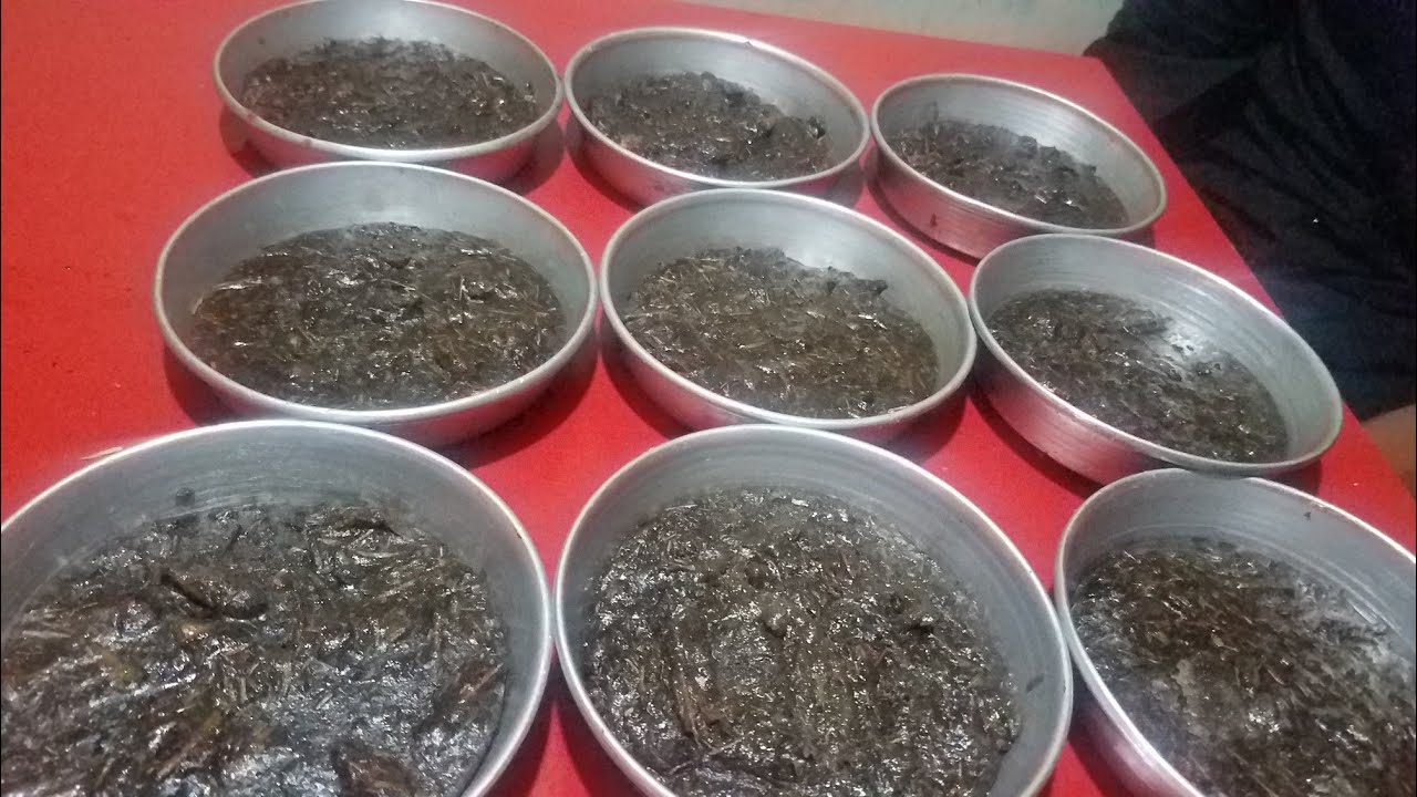 طبخه بخور بعطورات فرنسيه و عربيه شرقيه وهي