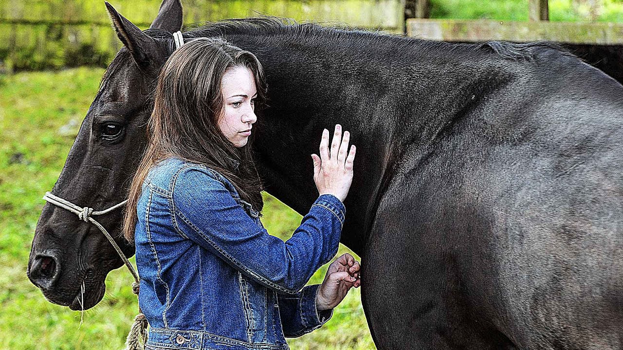 Le Cheval de Megan | Film Complet en Français | Famille, Drame - YouTube